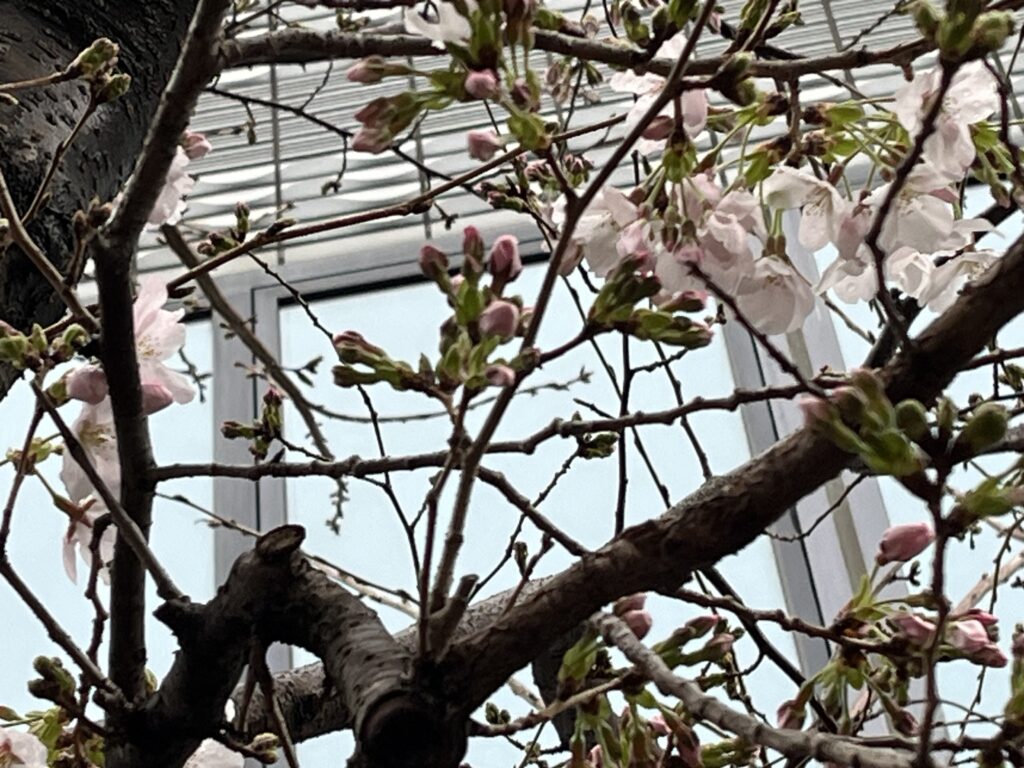 つみたてNISAで失敗する人の特徴５つ